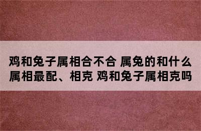 鸡和兔子属相合不合 属兔的和什么属相最配、相克 鸡和兔子属相克吗